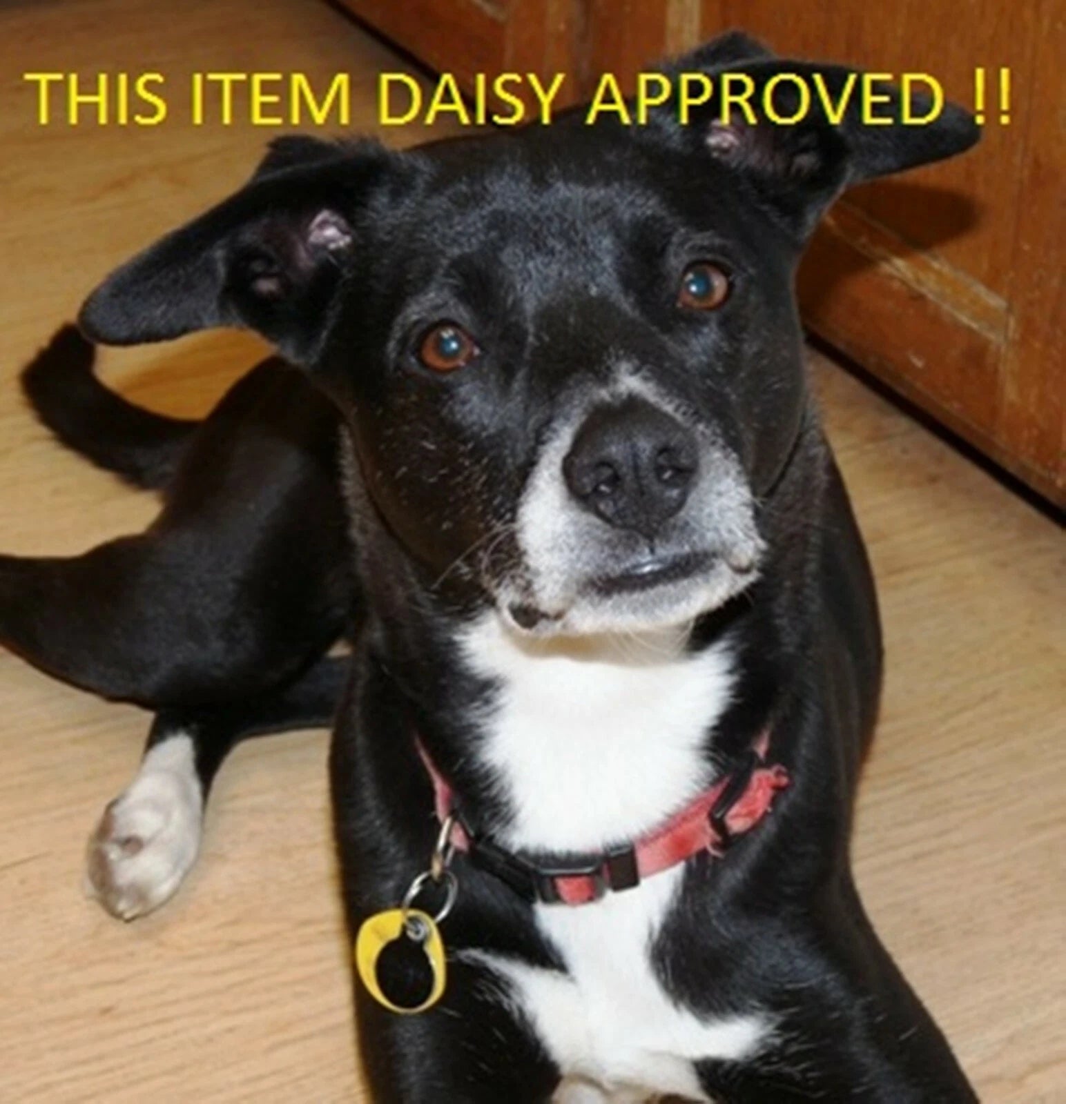 Bestway 98810 8 in 1 Precision Computer Screwdriver  #0 Phillips Torx T3 - T15